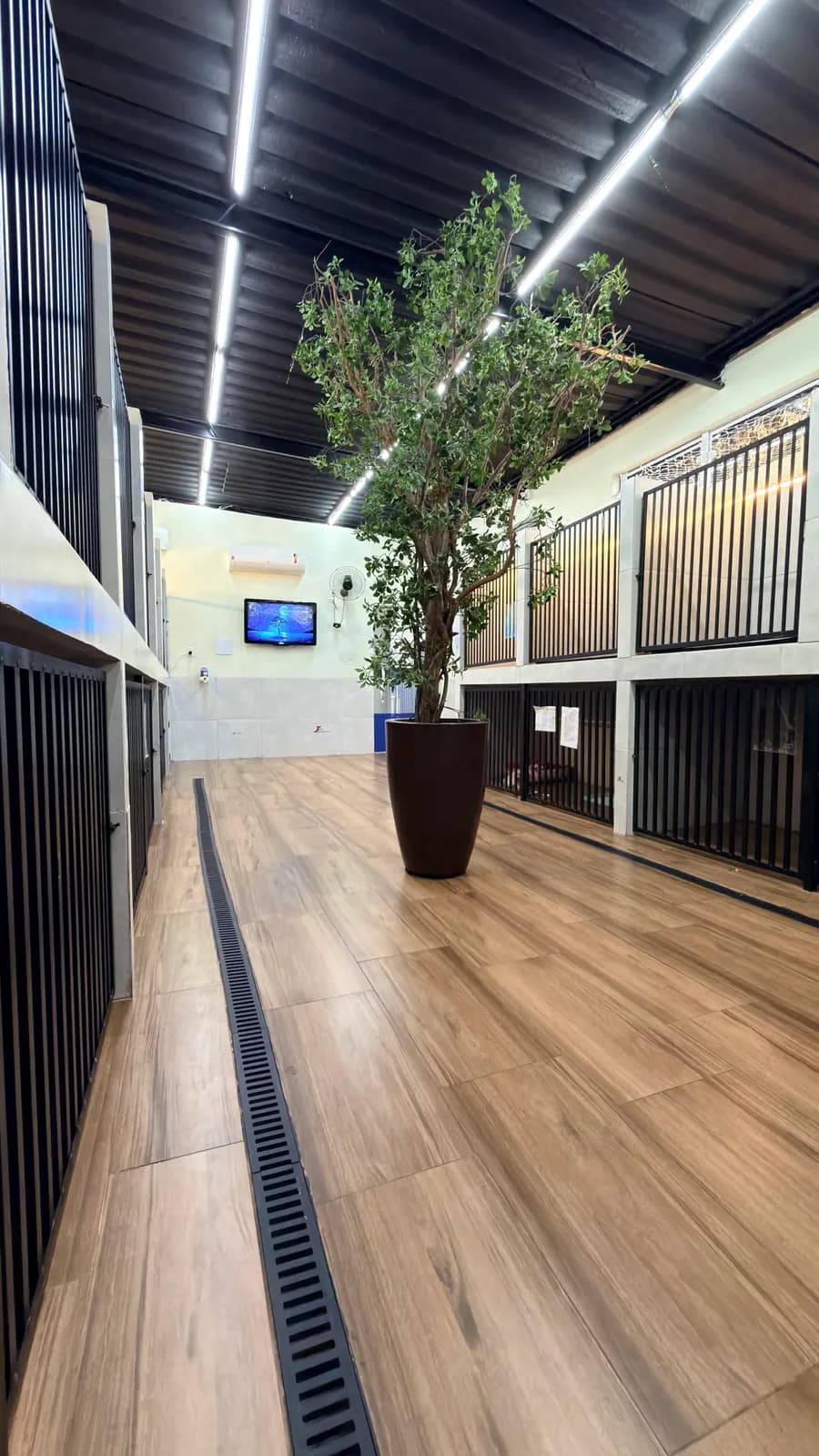 Corredor de baias do hotel da Pet Sublime