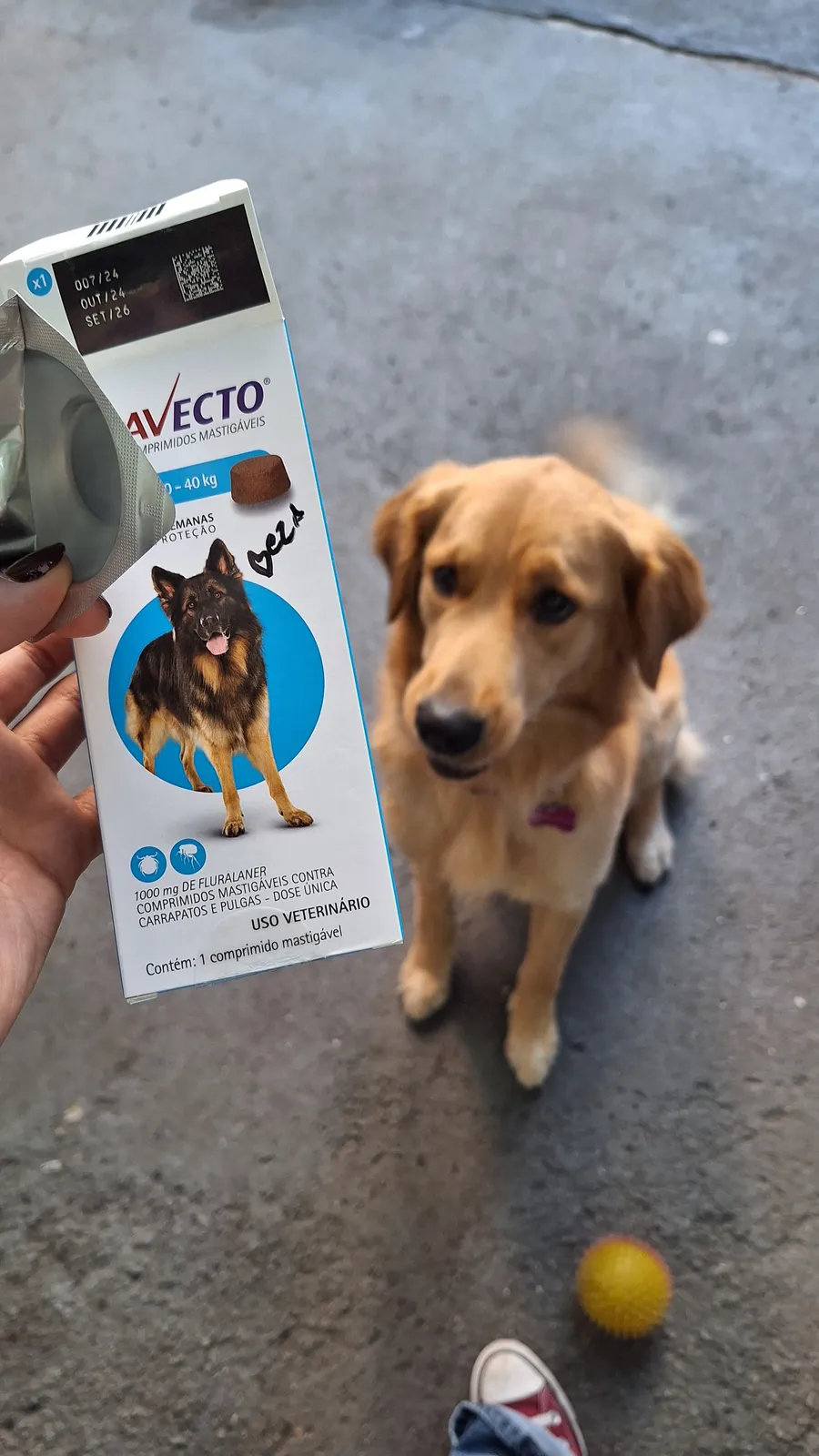 Antipulgas e vermífugos disponíveis na Pet Sublime
