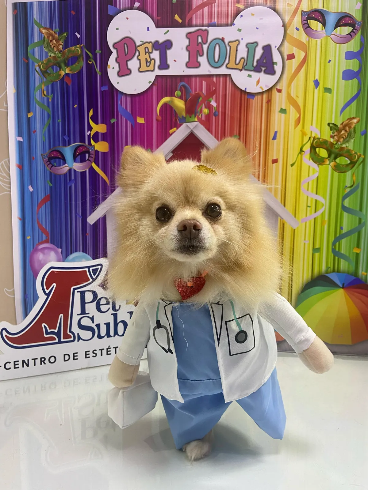 Mascote da Pet Sublime caracterizado de veterinário